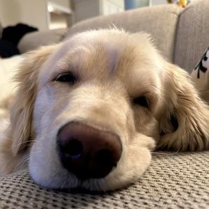 Meet your Posher, Wendy